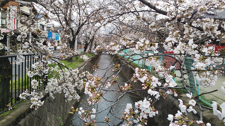 f:id:gourmet_j:20200329210936j:plain