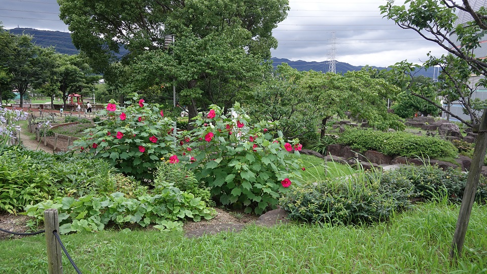 f:id:gourmet_j:20200715161239j:plain