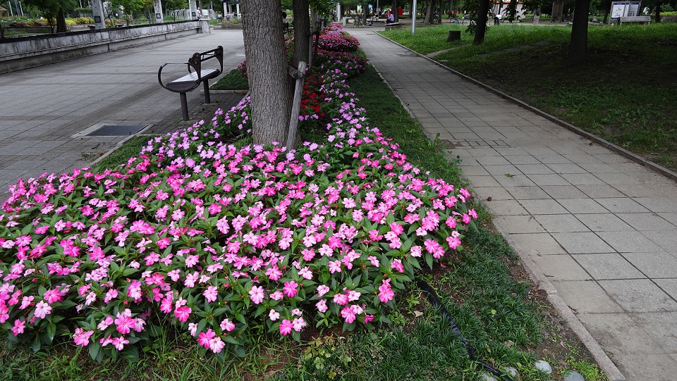 f:id:gourmet_j:20200716211436j:plain