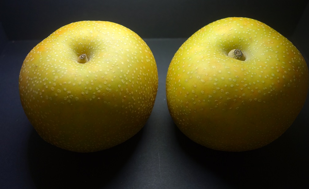 f:id:gourmet_j:20200814131122j:plain
