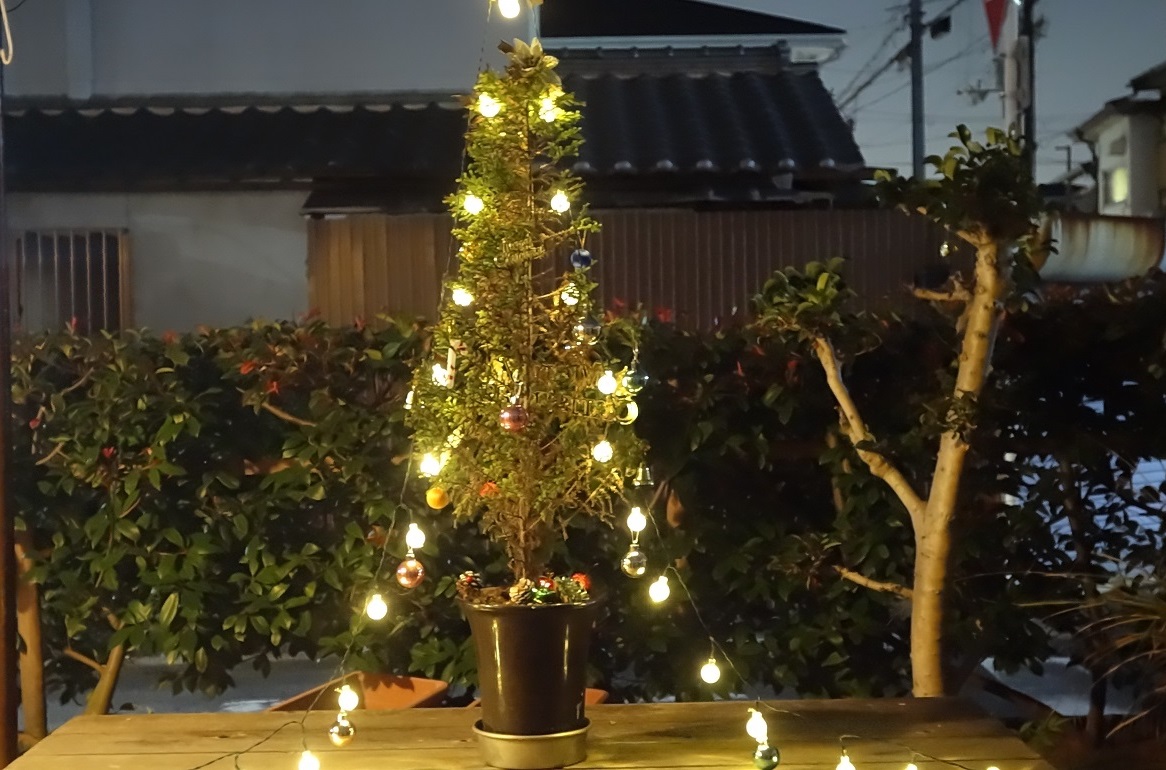 f:id:gourmet_j:20201207205633j:plain