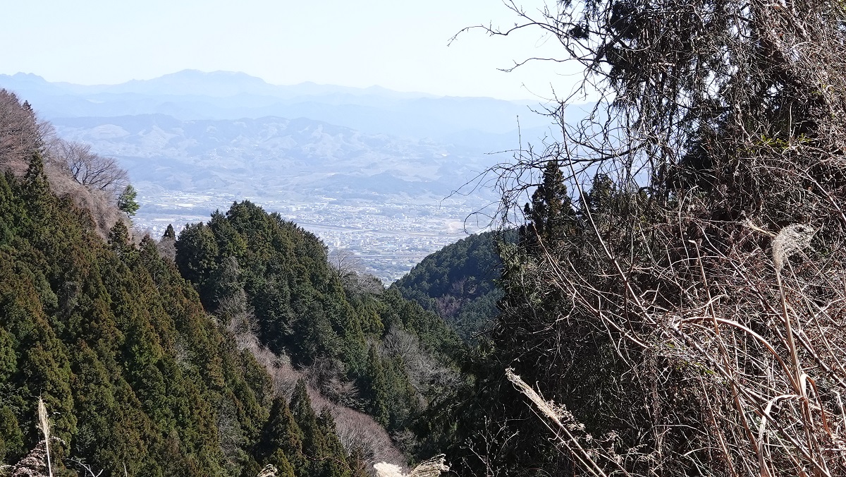 f:id:gourmet_j:20210318223446j:plain