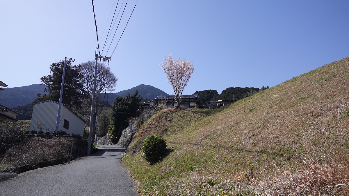 f:id:gourmet_j:20210318223522j:plain
