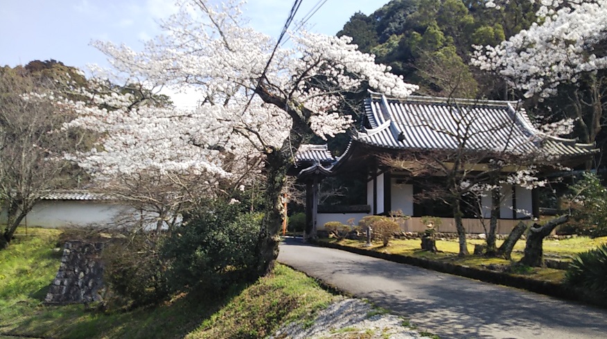 f:id:gourmet_j:20210324201550j:plain