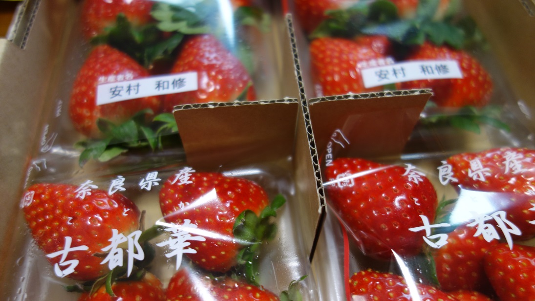 f:id:gourmet_j:20210325223837j:plain