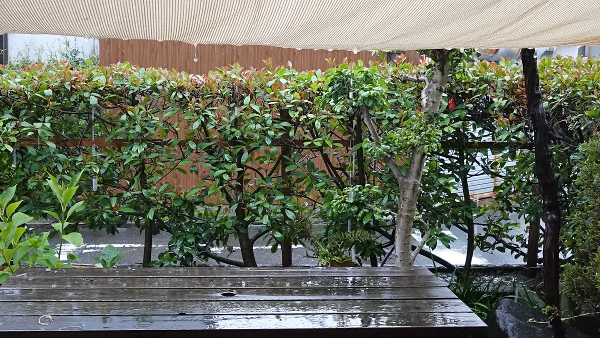 f:id:gourmet_j:20210708155208j:plain