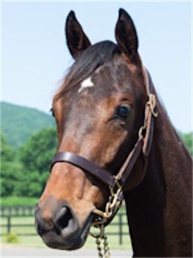 f:id:gourmetfrontier:20210308202027j:image