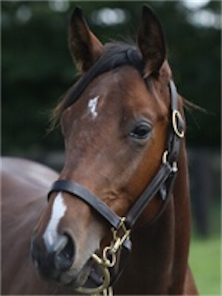 f:id:gourmetfrontier:20210308202041j:image