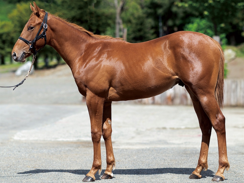 f:id:gourmetfrontier:20210710043534j:image f:id:gourmetfrontier:20210710043534j:image