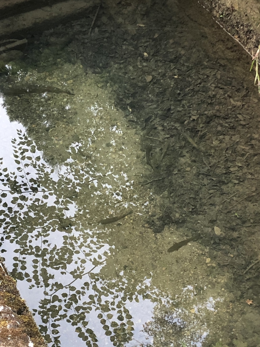 f:id:govicinity3:20190812185454j:plain