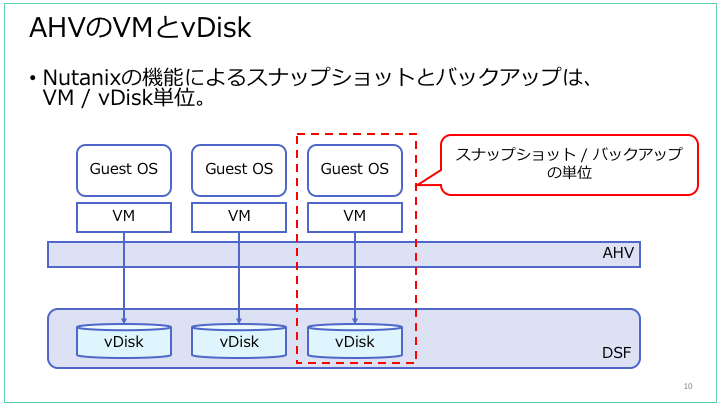 クラゲの部位とその機能 - 触手