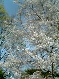 f:id:gowest:20060409114957j:image