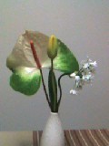 f:id:gowest:20070128130437j:image