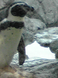 f:id:gowest:20091223124841j:image
