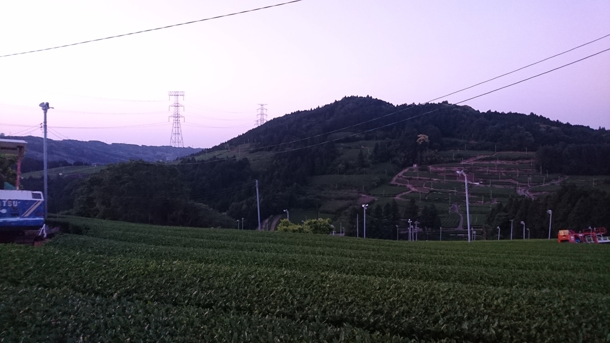 f:id:goworldgo:20200331163524j:plain