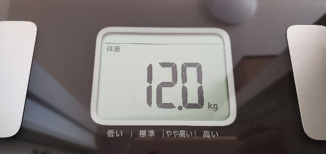 f:id:gp-7290:20201128152613j:image