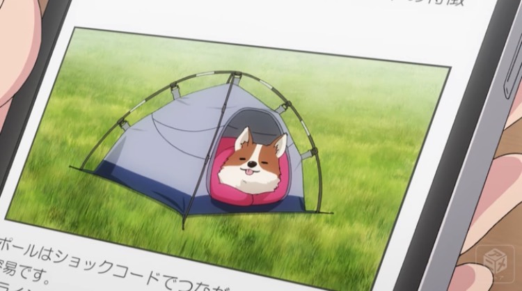 f:id:gpokevgc:20210131215509j:plain