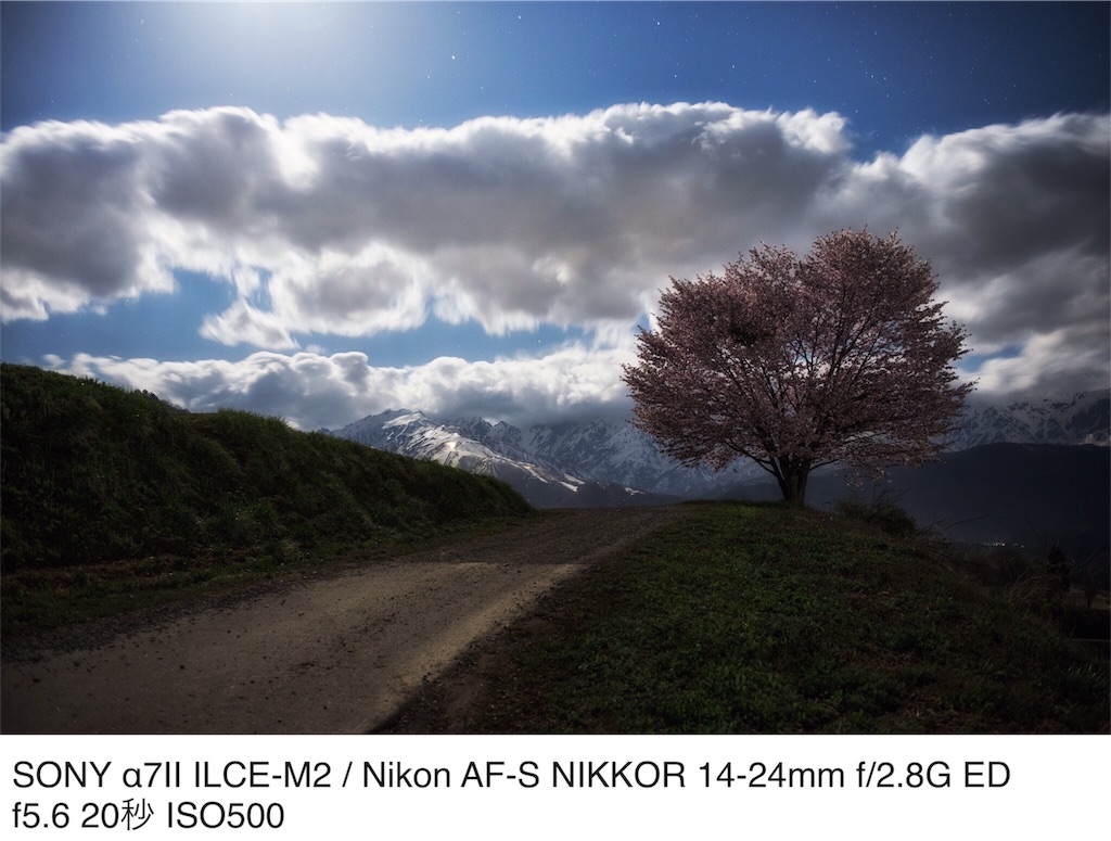 野平の桜と天の川 カメラノート