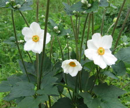 f:id:gqhikdg-2009:20100903100206j:image