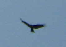 f:id:gqhikdg-2009:20130704102251j:image