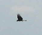 f:id:gqhikdg-2009:20130704102254j:image