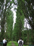 f:id:gqhikdg-2009:20140620123206j:image f:id:gqhikdg-2009:20140620123206j:image