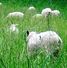 f:id:gqhikdg-2009:20140620124734j:image f:id:gqhikdg-2009:20140620124734j:image