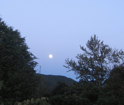 f:id:gqhikdg-2009:20140908184330j:image