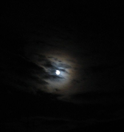 f:id:gqhikdg-2009:20140908195211j:image