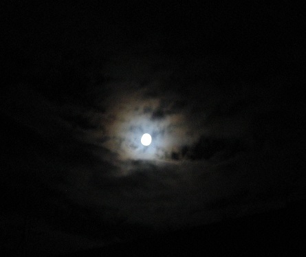 f:id:gqhikdg-2009:20140908195518j:image