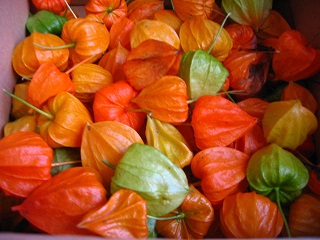 f:id:gqhikdg-2009:20141007073158j:image