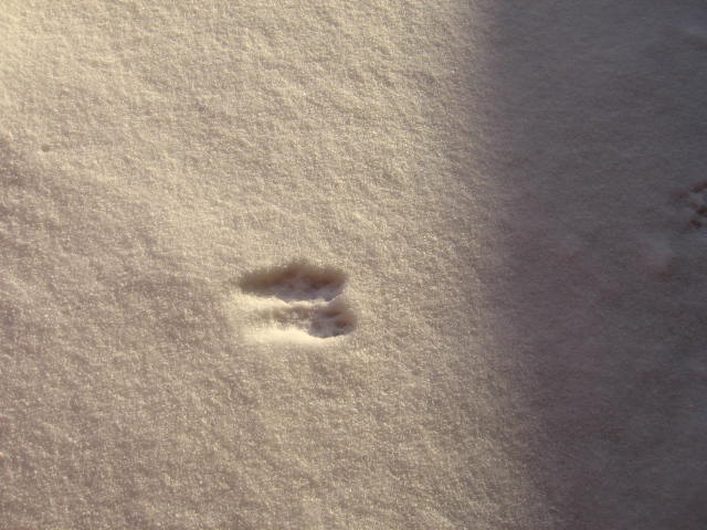 f:id:gqhikdg-2009:20141227085630j:image