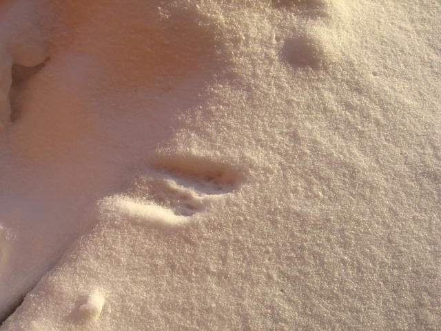 f:id:gqhikdg-2009:20141227085636j:image