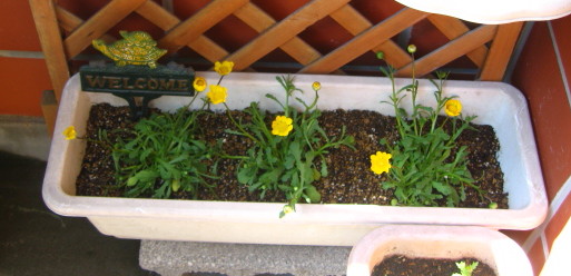 f:id:gqhikdg-2009:20150509131937j:image