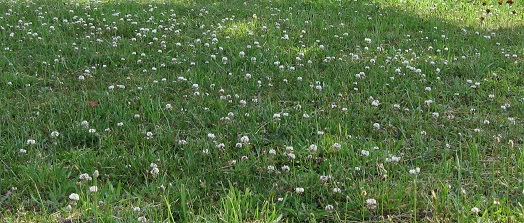 f:id:gqhikdg-2009:20190612100613j:plain