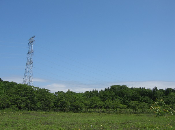 f:id:gqhikdg-2009:20190612111343j:plain
