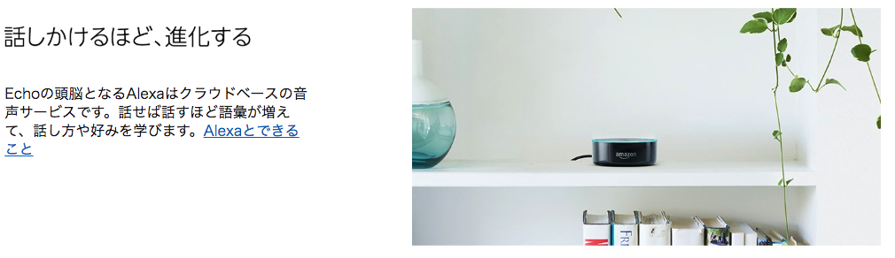 "Amazon アマゾン プライムデー おすすめ ランキング Echo Dot"