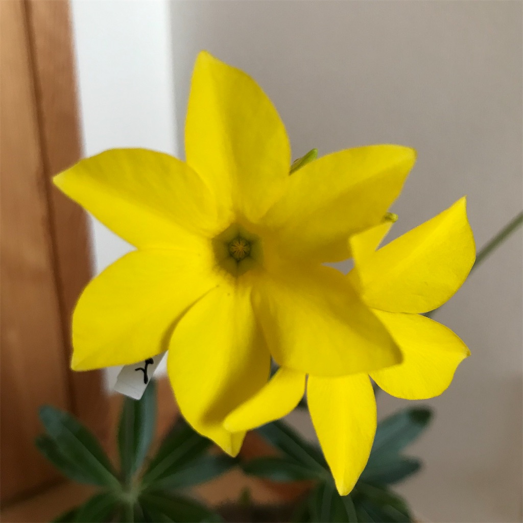 f:id:graboratory:20201004091111j:image