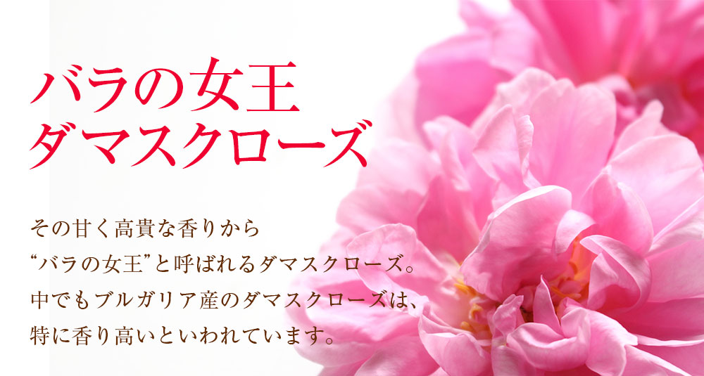 f:id:grace-total-beauty:20200718082043j:plain f:id:grace-total-beauty:20200718082043j:plain