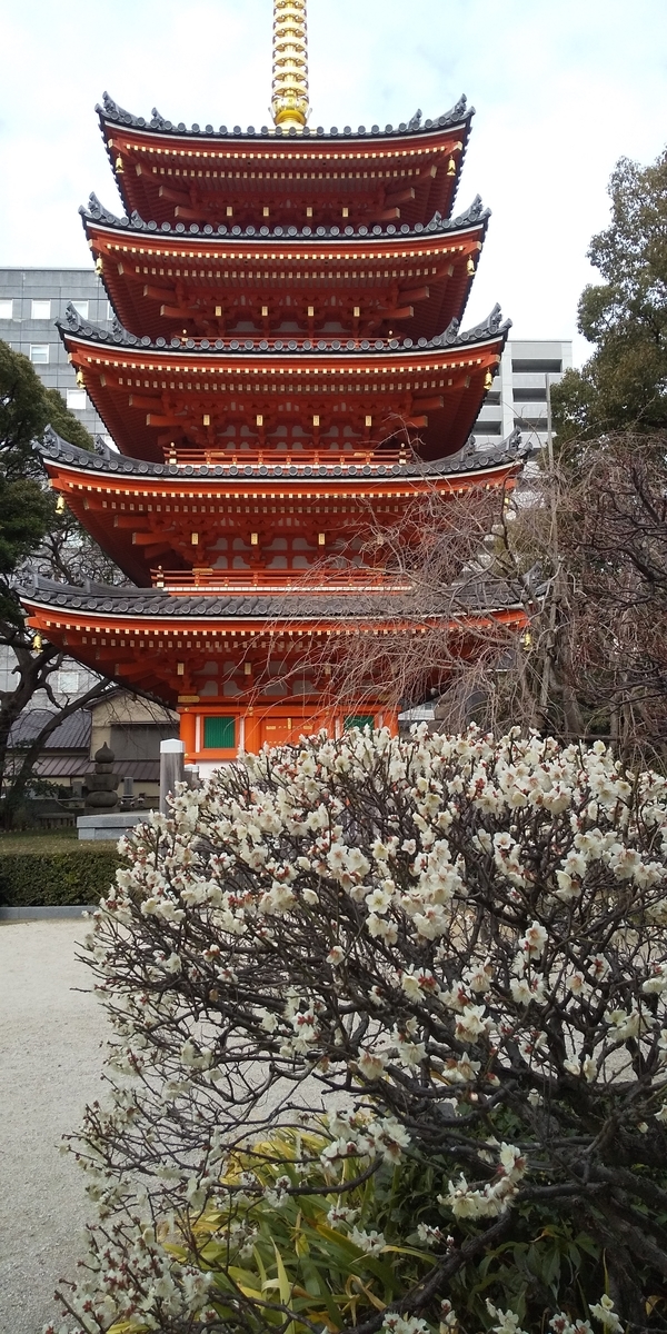 f:id:gracedusoleil2525:20220216162830j:plain