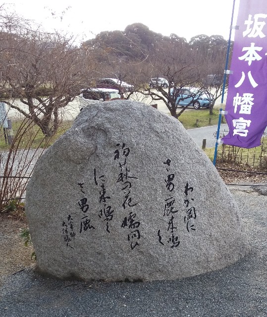 f:id:gracedusoleil2525:20230204214741j:image f:id:gracedusoleil2525:20230204214741j:image