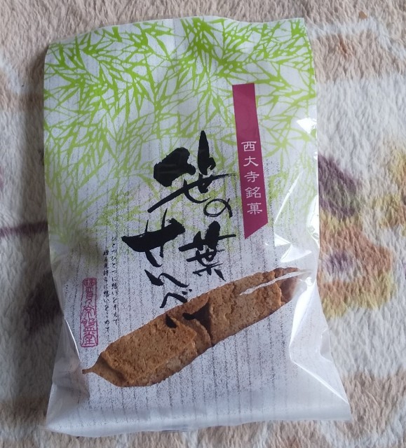 f:id:gracedusoleil2525:20230321130505j:image