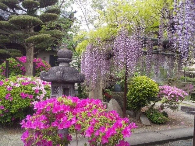 f:id:gracedusoleil2525:20240511163719j:image f:id:gracedusoleil2525:20240511163719j:image