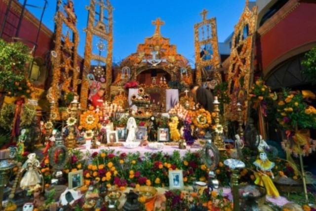 f:id:gracedusoleil2525:20241101154626j:image f:id:gracedusoleil2525:20241101154626j:image