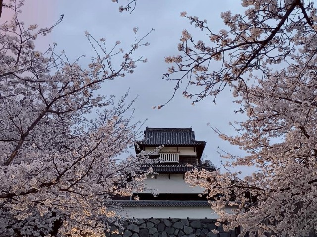 f:id:gracedusoleil2525:20250410140924j:image