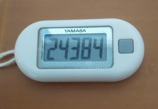 f:id:gracedusoleil2525:20250413164042j:image