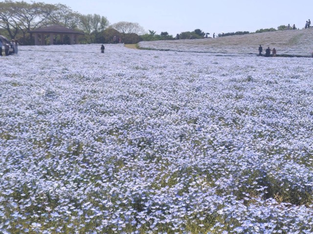 f:id:gracedusoleil2525:20250507131315j:image