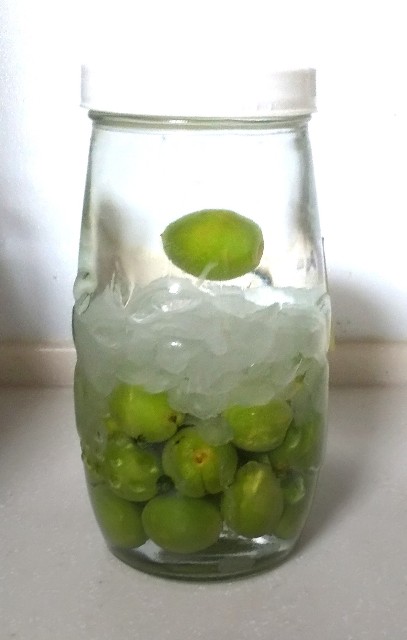 f:id:gracedusoleil2525:20250522133030j:image