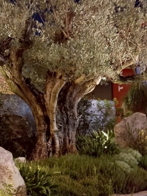 f:id:gracedusoleil2525:20250716164515j:image