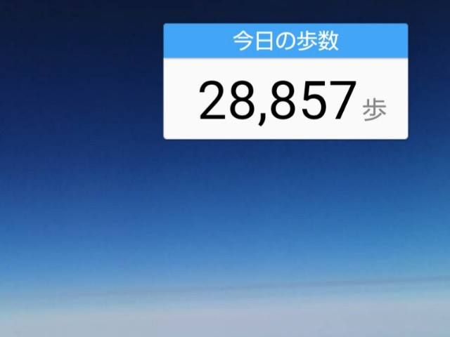 f:id:gracedusoleil2525:20250728173952j:image